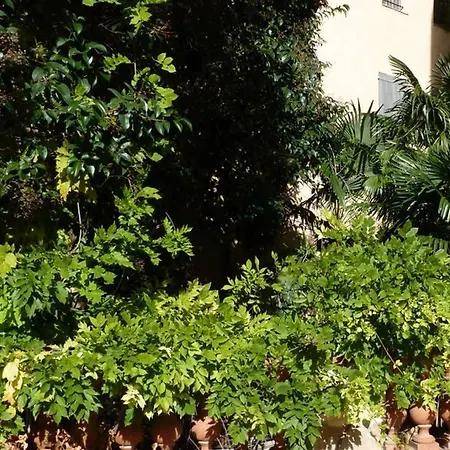 Exceptionnel! Havre De Paix Avec Jardin Et Terrasse Privatifs Au Coeur Du Centre Historique De Perpignan * Perpignan
