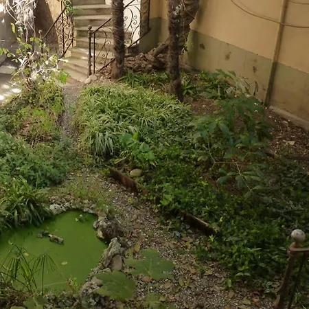 Exceptionnel! Havre De Paix Avec Jardin Et Terrasse Privatifs Au Coeur Du Centre Historique De Perpignan